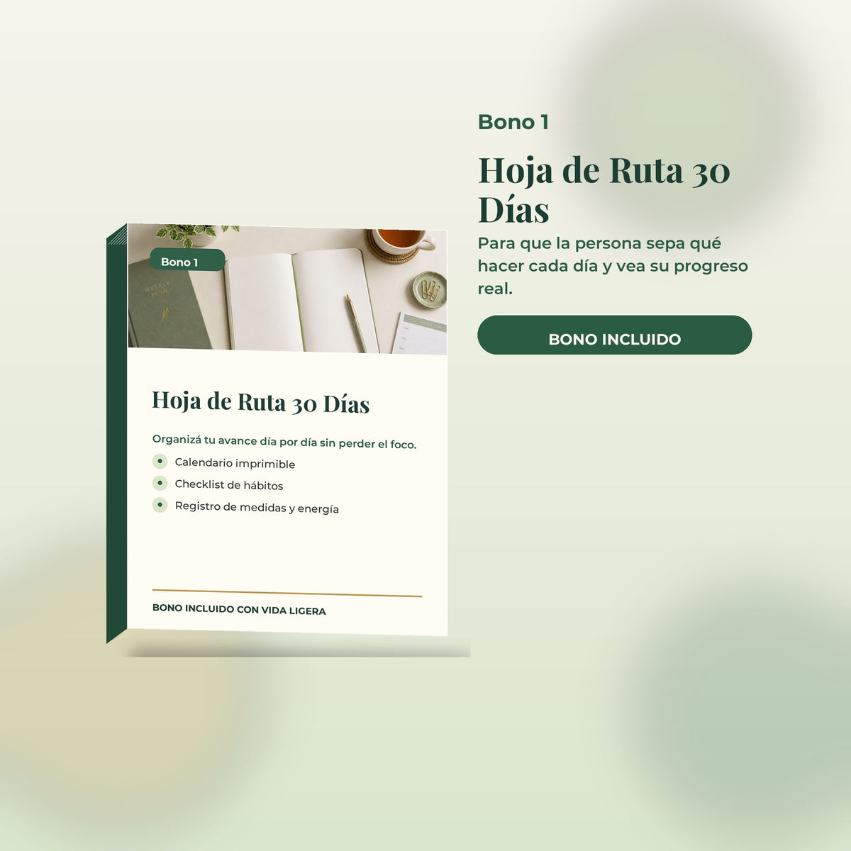 Vida Ligera: Baja de Peso Sin Dietas